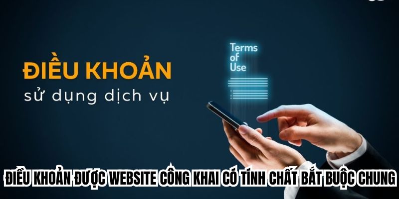 Điều khoản được website công khai có tính chất bắt buộc chung