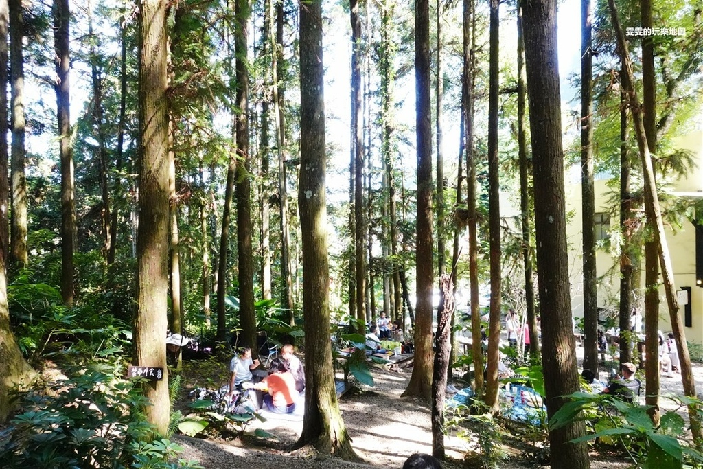 新竹。森窯have a picnic，在森林中席地而坐，享受日光浴來個野餐 @雯雯的玩樂地圖