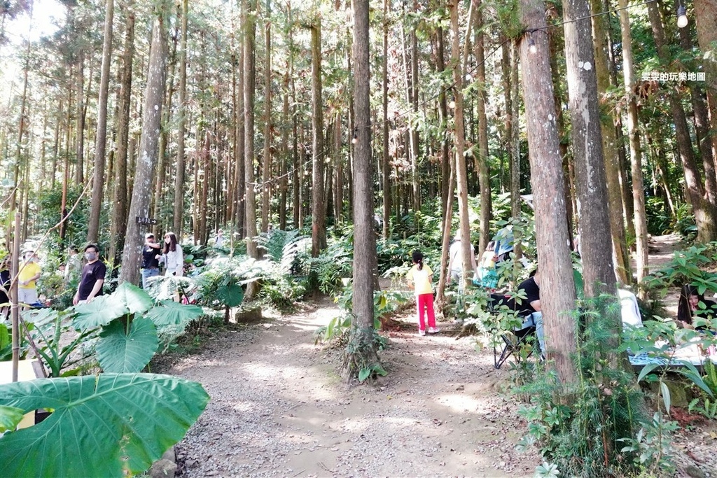 新竹。森窯have a picnic，在森林中席地而坐，享受日光浴來個野餐 @雯雯的玩樂地圖